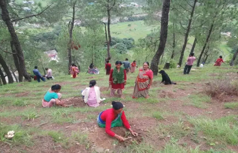 Forest management by people, for people: A look at Van Panchayats of Uttarakhand