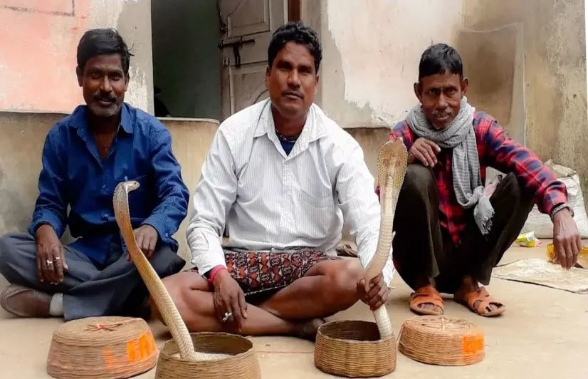 Ancestral profession of snake charming losing shine in Jharkhand village